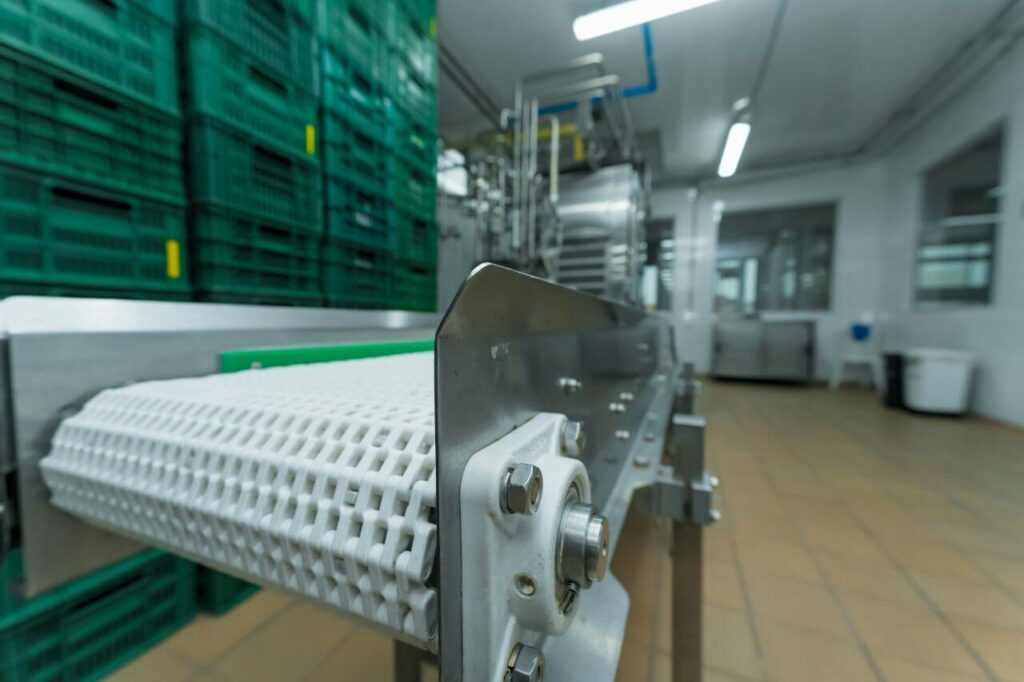 przenośnik taśmowy